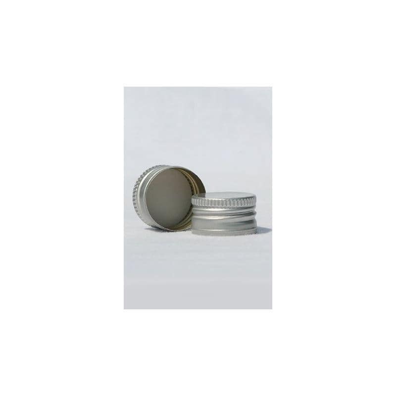Screw cap, ABS plastic, silver, for opening: GPI 22/400