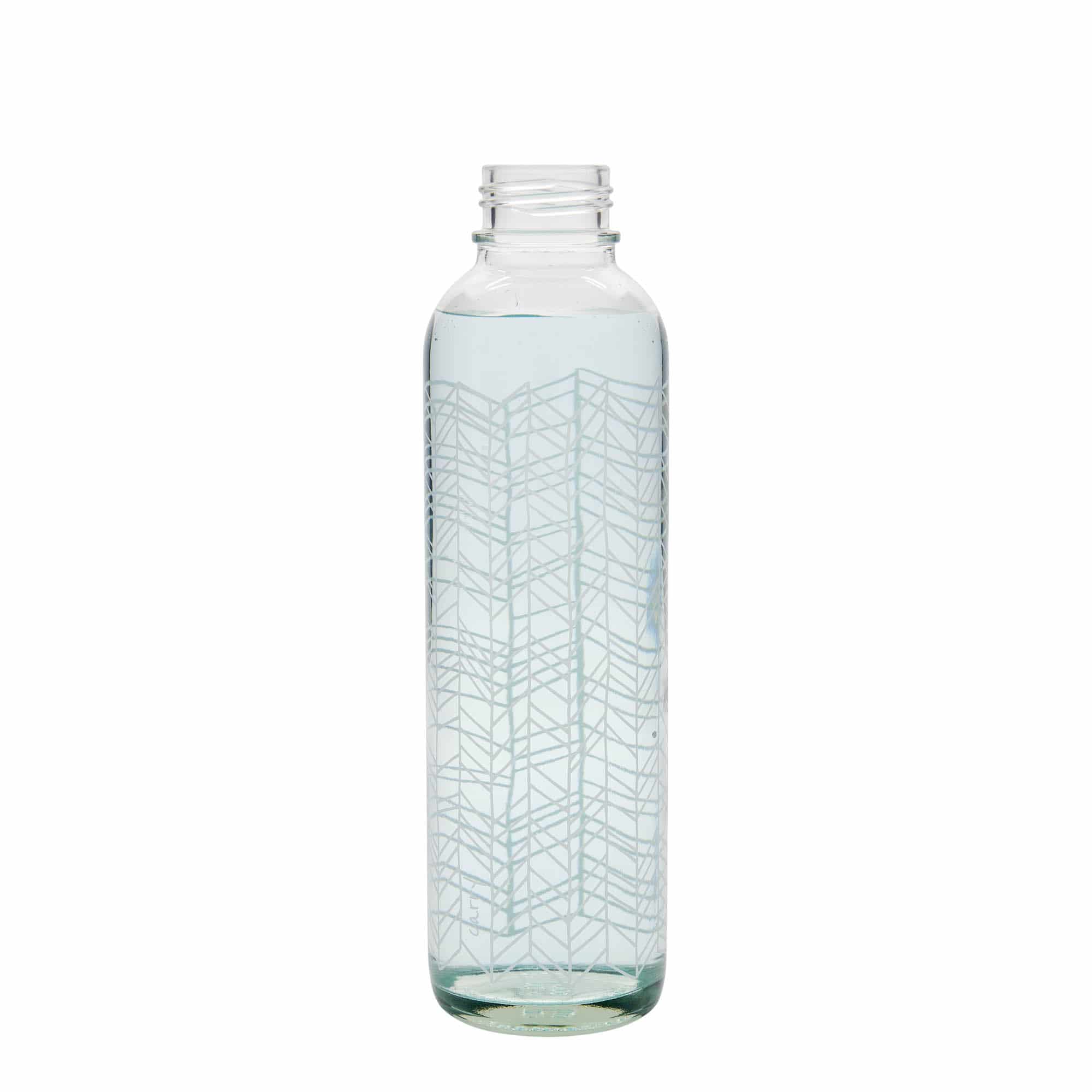 700 ml Drinking Bottle CARRY Bottle 'Structure of Life', Opening: Screw Cap