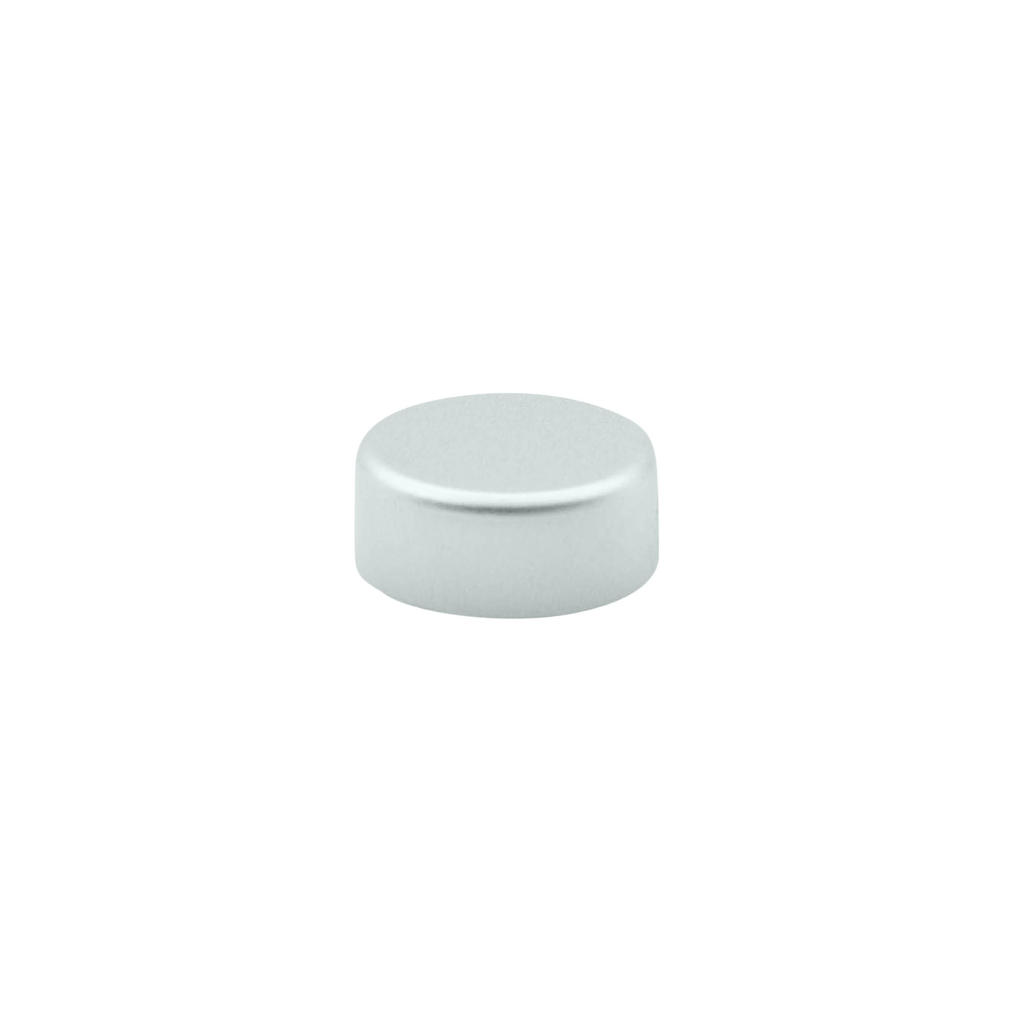 Screw cap, ABS plastic, silver, for opening: GPI 22/400 Screw cap, ABS plastic, silver, for opening: GPI 22/400