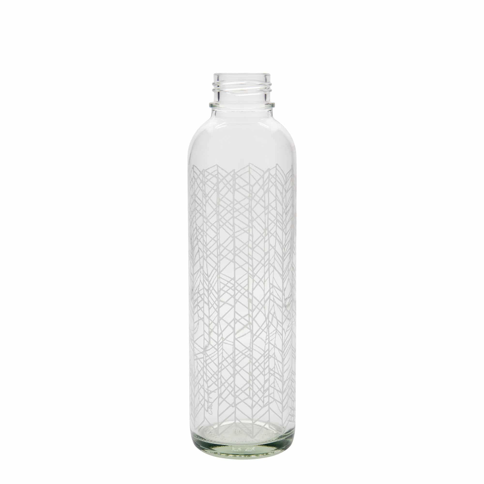 700 ml Drinking Bottle CARRY Bottle ‘Structure of Life’, Opening: Screw Cap