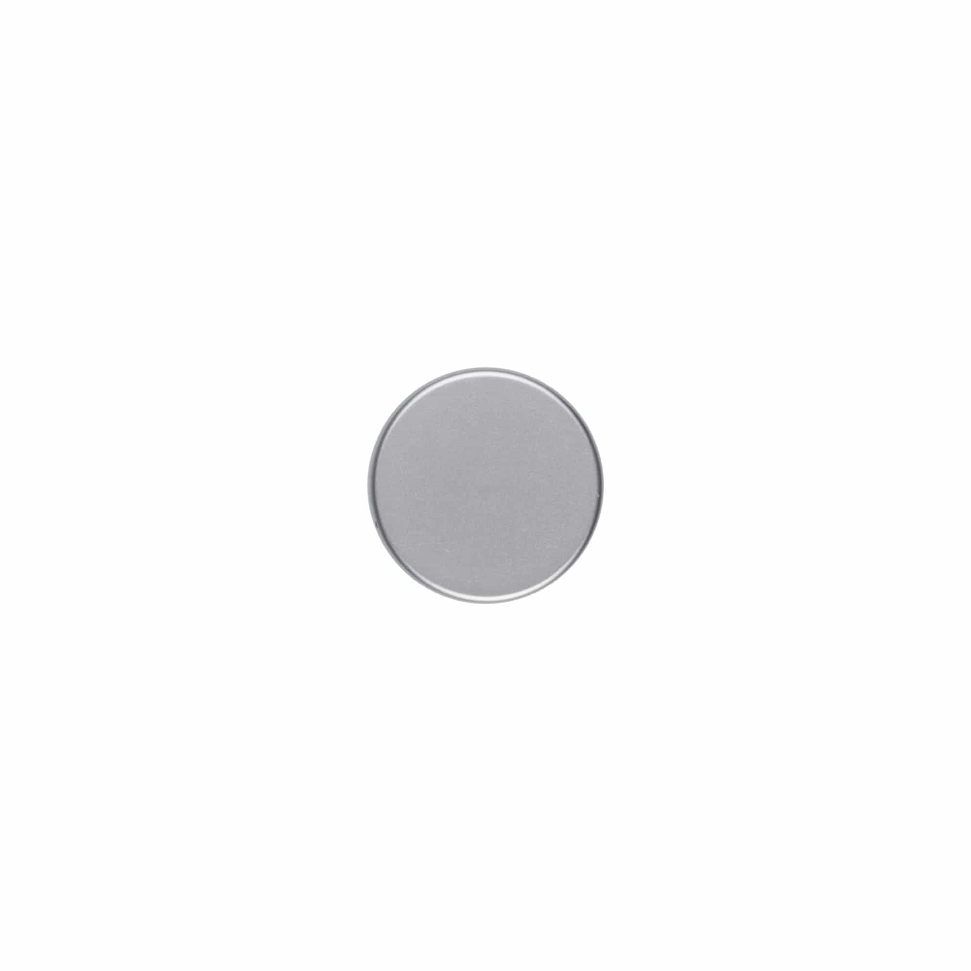 Screw cap, ABS plastic, matt silver, for opening: GPI 33/400