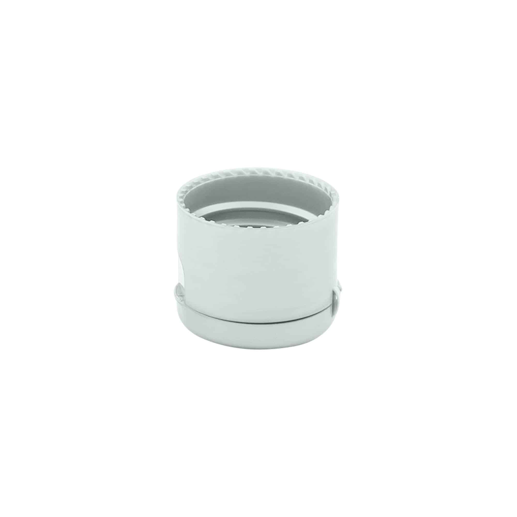 Screw cap with hinge, PP plastic, silver, for opening: 24/410